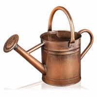 Homarden Copper Half Gallon Watering Can - 81 oz Metal Watering Can with Removable Spout