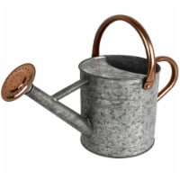 Homarden Half Gallon Silver Watering Can - Metal with Removable Spout