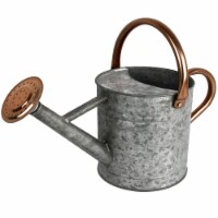 Homarden Half Gallon Silver Watering Can - Metal with Removable Spout