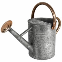 Homarden Silver 1 Gallon Watering Can - Removable Spout for Indoor/Outdoor Plants