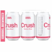 10 Barrel Brewing Co. Crush Guava Sour Ale Perspective: Main