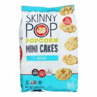 SkinnyPop Popcorn Sea Salt Mini Cakes