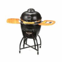 Vision kamado grill reviews hotsell