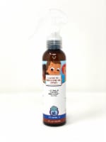 Diaper Pail Deodorizing Spray 4 oz - Texas Rain