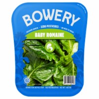 Bowery Baby Romaine