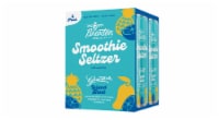 Graeter's Island Blast Smoothie Hard Seltzer Perspective: Main
