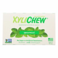 XYLIChew Spearmint Gum