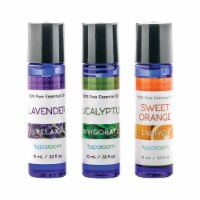 SpaRoom Essential Oils Perspective: Main