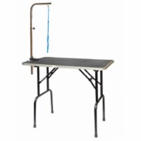 Go Pet Club GT-103 42 in. Pet Dog Grooming Table with Arm
