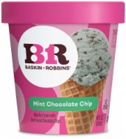 Baskin Robbins® Mint Chocolate Chip Ice Cream Pint Perspective: Main