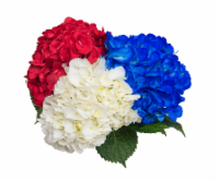 Patriotic Hydrangea