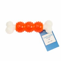 JoJo Modern Pets Bone-a-Treat Dog Chew Toy Bone - Orange