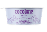 Cocojune Organic Mixed Berry Coconut Yogurt Perspective: Main