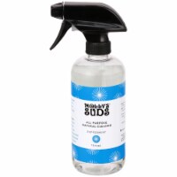 Molly's Suds Peppermint All Purpose Spray