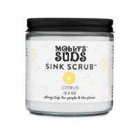 Molly's Suds Citrus Sink Scrub Perspective: Main
