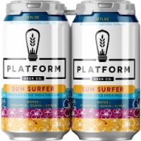 Platform Beer Co. Sun Surfer Beer Perspective: Main