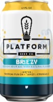 Platform Breezy Sour Ale Beer Perspective: Main