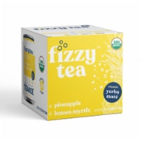 Teakoe Fizzy Tea™ Pineapple & Lemon Myrtle Organic Yerba Mate Perspective: Main