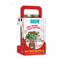 Back to the Roots 7772692 Self-Watering Planter Grow Kit for Moderate Sun