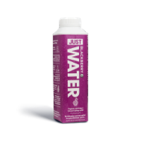 JUST Water Blackberry Infused Organic Fruit Flavored Spring Water 24 Pack (16.9 fl oz)