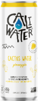 Caliwater® Pineapple Cactus Water Perspective: Main
