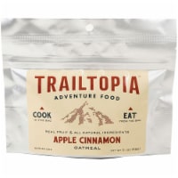 Trailtopia 704200 Brown Sugar Raisin Oatmeal