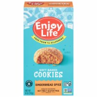 Enjoy Life™ Gingerbread Spice Soft Baked Cookies