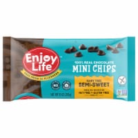 Enjoy Life™ Gluten-Free Semi-Sweet Mini Chocolate Chips