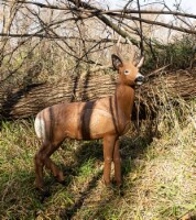 NEW Rinehart Targets 3D Roe Deer Archery Target - UNIV