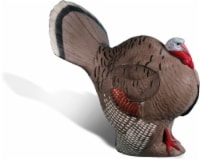 NEW Rinehart Targets 3D Strutting Turkey Archery Hunting Target - ASA