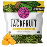 Pitaya Foods® Organic Jackfruit Bite-Sized Pieces Perspective: Main