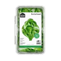 Gotham Greens Butterhead Lettuce