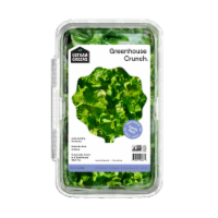 Gotham Greens® Greenhouse Crunch™ Lettuce Perspective: Main