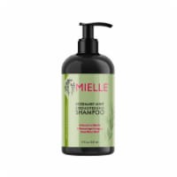 Mielle® Rosemary Mint Shampoo Perspective: Main