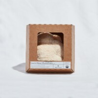 Smallhold Lion's Mane Organic Mushroom