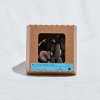 Smallhold Blue Oyster Mushrooms