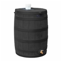 Good Ideas Rain Wizard Rain Collection Plastic Rain Barrel 40-Gallon Ribs, Black