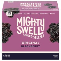 Mighty Swell Blackberry Spiked Seltzer 6 Cans 12 Fl Oz Mariano S