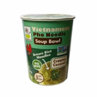 Star Anise Vietnamese Pho Noodle Creamy Coconut Soup Bowl