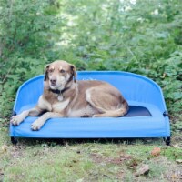 Gen7Pets G3336TB Large Cool-Air Cot  Trailblazer Blue