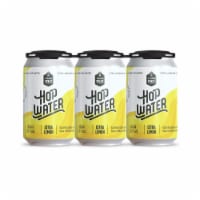 Third Space Brewing Citra Lemon Hop Water Perspective: Main