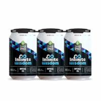 Third Space Brewing Infinite Wisdom Imperial IPA Craft Beer Perspective: Main