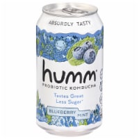 Humm® Blueberry Mint Probiotic Kombucha Single Can Perspective: Main