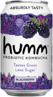 Humm® Blackberry Probiotic Kombucha Single Can Perspective: Main