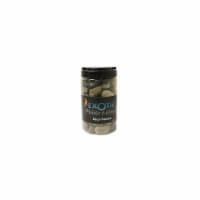 Exotic Pebbles & Aggregates 246948 5 lbs Polished Mixed Exotic Pebbles