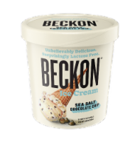 Beckon Lactose Free Sea Salt Chocolate Chip Ice Cream Pint Perspective: Main
