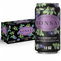 Bonsai Blackberry Lime Sweetened Sparkling Water Cans Perspective: Main