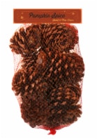 Enviro-Log Pumpkin Spice Scented Pine Cones Holiday Décor - 10 oz Perspective: Main