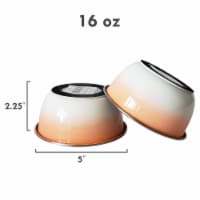 JoJo Modern Pets Eco-friendly Stainless Steel Deep Dog Bowl - Coral - 32 oz