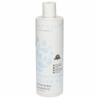 Purezero® Moroccan Argan Oil Repairing Shampoo Perspective: Main